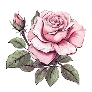 Pink Rose Clipart PNG, Romantic Floral Clip Art,Hand-Drawn Flower Design,Transparent Digital for Weddings,Invitations,Scrapbooking,DIY Craft