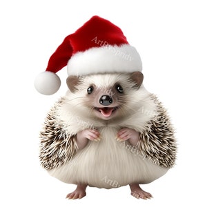 Christmas Hedgehog PNG Clipart – Transparent Hedgehog in Santa Hat for Holiday Cards,DIY Crafts,Digital Designs Clip Art for DTG T-Shirt,Mug