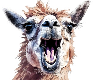 Llama PNG Clipart, Funny Dramatic Llama Face, Transparent Digital Download for T-Shirt, Mug Sublimation, DIY Crafts, Stickers, Gifts Idea