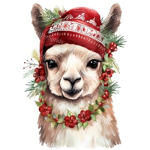 Festliches Weihnachtslama PNG Clipart mit Weihnachtsmütze und Feiertagskranz, Feiertag Clip Art für Karten, DIY Handwerk, T-Shirt Sublimation, Weihnachtsalpaka