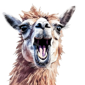 Llama PNG Clipart, Funny Dramatic Llama Face, Transparent Digital Download for T-Shirt, Mug Sublimation, DIY Crafts, Stickers, Gifts Idea