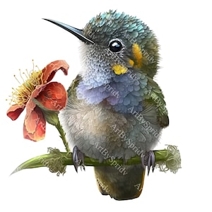 Hummingbird Flower PNG Clipart,Transparent Animal Bird Print Kids Clip Art,Cute Cartoon Design,Printable Sublimation T-Shirt,Mug,Baby Shower