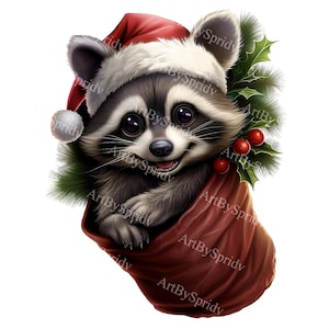 Raccoon With Christmas Santa Hat&Stocking Transparent PNG Clipart,Kid/Adult Cartoon Design,Printable Sublimation,Commercial,Animal Clip Art