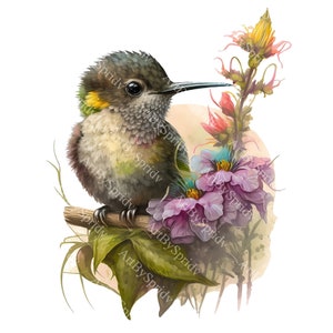 Hummingbird Flower PNG Clipart,Transparent Animal Bird Print Kids Clip Art,Cute Cartoon Design,Printable Sublimation T-Shirt,Mug,Baby Shower