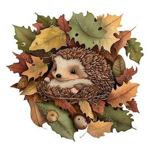 Adorable Baby Hedgehog Snuggled in Autumn Leaves PNG Clipart, Cute Woodland Animal for Fall DIY Crafts, Invitations, Home Decor, T-Shirt,Mug