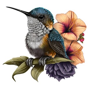 Hummingbird Flower PNG Clipart,Transparent Animal Bird Print Kids Clip Art,Cute Cartoon Design,Printable Sublimation T-Shirt,Mug,Baby Shower