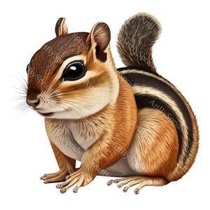 Adorable Chipmunk Digital Clipart - Transparent PNG for Sublimation, Perfect for Crafting, Scrapbooking & DIY Projects | Instant Download