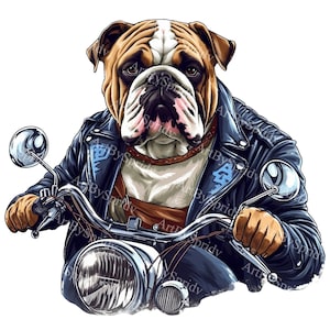 Biker Bulldog With Leather Jacket PNG, Transparent Animal Clipart,Kids/Adults Cartoon Design,Printable Sublimation,Commercial,Cute Clip Art