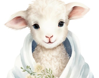 Adorable Baby Lamb Wrapped in Watercolor Blanket Clipart Set – 4 PNG, Cute Farm Animal Nursery Art, Digital Download, Baby Shower Decoration