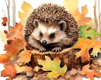 Hérisson niché dans des feuilles d'automne PNG Clipart, illustration d'animaux de la forêt Clip Art pour une décoration d'automne, travaux manuels, scrapbooking, faire-part