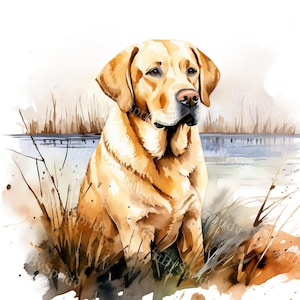 Labrador Retriever Clipart | Digital Dog Art | Printable Pet Illustration | Transparent PNG | Sublimation Design |Watercolor Canine Graphics