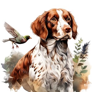 Welsh Springer Spaniel Digital Clipart - Rustic Dog & Nature PNG for Crafts, Sublimation Printing, Scrapbooking - Instant Download Clip Art