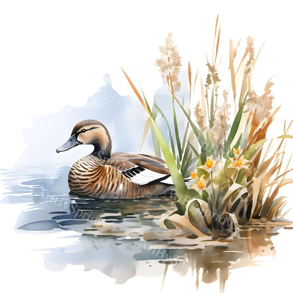 Watercolor Duck Clipart - Tranquil Lake & Cattails Illustration for Printable Sublimation and DIY Crafts | Serene Waterfowl PNG Clip Art