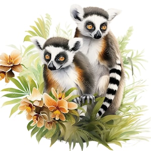 Conjunto de imágenes prediseñadas de lémures tropicales y flora de la jungla: paquete de 4 PNG transparentes para manualidades, decoración, scrapbooking digital, ilustración y vida silvestre