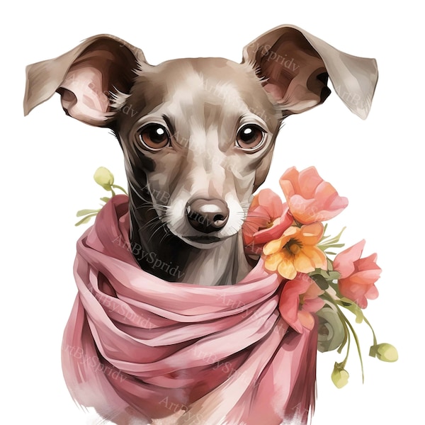 Watercolor Italian Greyhound Puppy Dog & Silk Scarf -Transparent 4 PNG Clipart-Printable T-Shirt,Mug,Tumbler Sublimation Clip Art,Commercial