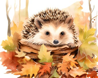 Hérisson dans les feuilles d'automne Clipart | Illustration d'animaux des bois | Décoration d'automne | Clipart hérisson mignon | PNG transparents | Téléchargement numérique