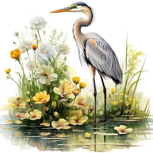 4 Pack Heron Filled With Vibrant Marsh Marigolds Transparent PNG Clipart - Printable Floral T-Shirt, Mug Sublimation Clip Art - Commercial