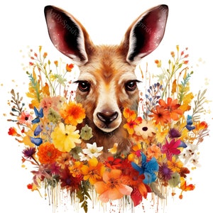 Conjunto de imágenes prediseñadas de canguro de 4 piezas-Arte digital de flores silvestres-Fauna australiana PNG-Ilustración de animales-Gráficos inspirados en la naturaleza para manualidades e impresiones