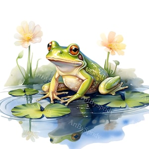 Puede incluir: Una rana verde con ojos naranjas se sienta en una hoja de nenúfar en un estanque. La rana está rodeada de nenúfares con flores blancas y melocotón.