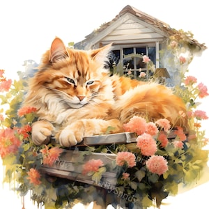 Gato encantador de acuarela en jardín campestre, clipart, clip art PNG transparente floral y felino para decoración de paredes del hogar y proyectos de sublimación de bricolaje