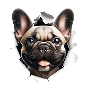 French Bulldog 3D Wall Break PNG Clipart for DTG, T-Shirts, Mugs, Tumblers, Sublimation & Scrapbooking - Realistic Illusion Dog Digital Art