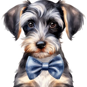Adorable Schnauzer Puppy with Blue Bowtie Clipart 4 PNG | Perfect for Invitations, DIY Crafts, and Decor |Printable Sublimation,Scrapbooking
