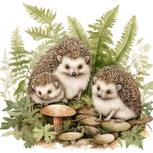 Hedgehog PNG Clipart Set|Woodland Animal Illustrations|4 PCS Transparent Cute Forest Creatures Art|DIY Craft Supplies|Scrapbooking Graphic