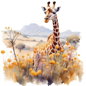 4 stuks giraf in savannelandschap PNG clipart set-wilde bloemen, Afrikaanse safari, digitale download, aquarel kunst, natuur illustratie, afdrukbaar