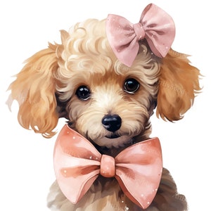 Cute Watercolor Poodle Puppy Dog With Ribbon Bow - Transparent 4 PNG Clipart - Printable T-Shirt,Mug,Tumbler Sublimation Clip Art,Commercial