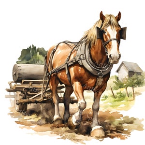 Rustikales Zugpferd Clipart - Bauernhof Tier Aquarell transparente PNG für Sublimationsdruck & Kunsthandwerk, Cricut DIY digitaler Download Clip Art