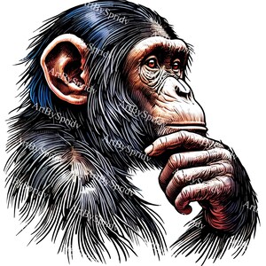 May include: A close-up of a chimpanzee's face, with its hand resting on its chin, looking thoughtful. The chimpanzee has dark fur and a thoughtful expression.