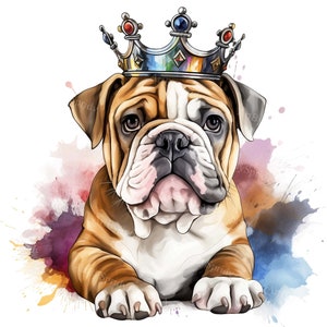 Proud English Bulldog Puppy Dog With Crown - Transparent 4 PNG Clipart-Printable T-Shirt, Mug, Tumbler Sublimation Clip Art, Commercial Use
