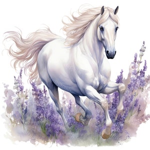 Cheval aquarelle dans un champ de lavande en fleurs - Clipart PNG transparent 4 - T-shirt imprimable, tasse, gobelet, sublimation clipart, commercial