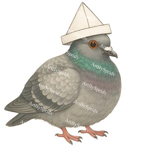 Funny Pigeon PNG with Paper Hat – Cute Cartoon Bird Clipart for Tee Sublimation, Transparent Digital Download for Crafts,Stickers & T-Shirts
