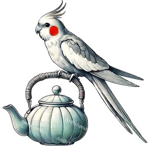 Elegante pájaro cacatúa en tetera PNG Clipart, manualidades transparentes de bricolaje, clip art digital, álbumes de recortes, temas de fiesta de té, proyectos de decoración del hogar