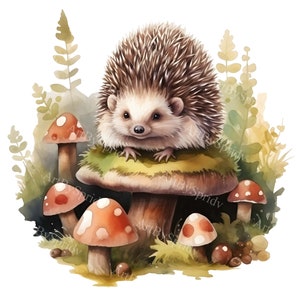 Imágenes prediseñadas de erizo con setas / Animal del bosque místico PNG/Ilustración linda del bosque/Descarga digital de naturaleza encantada/Fantasía caprichosa
