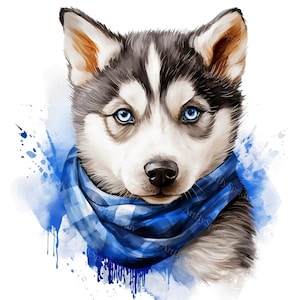 Aquarel Siberische husky puppy hondje met bandana-transparant 4 PNG clipart-afdrukbaar T-shirt, mok, beker sublimatie illustraties, commercieel