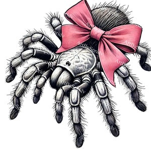 Vogelspinne mit rosa Schleife PNG Clipart, Spinnen Illustration, Digitale Spinnentier Clip Art, Schrulliges T-Shirt, Becher Druck für DIY Handwerk, Halloween Design