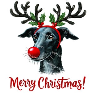 Greyhound Dog with Reindeer Antlers & Red Nose Clipart,Christmas Dog Illustration,Transparent Digital PNG for Holiday DIY Crafts,Invitations
