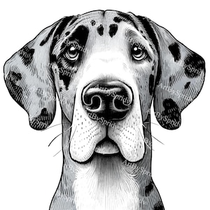 Black&White Great Dane Ink Drawing,Realistic Dog PNG Clipart,Pet Lovers Decor,Canine Illustration,Wall Clip Art Design,DIY Craft Sublimate