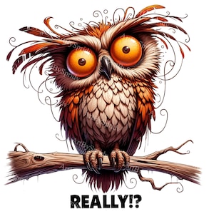 Überrascht Eule Clipart mit dem Text ""Really"" - süßes digitales PNG für Sublimation, Basteln & T-Shirts | Sofort Download Clip Art
