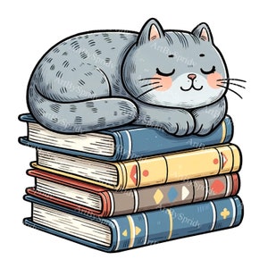 Puede incluir: Un gato gris con los ojos cerrados está durmiendo encima de una pila de cinco libros coloridos. Los libros tienen diferentes patrones y diseños en sus portadas.