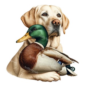 Labrador & Mallard Duck PNG Clipart | Dog and Bird | Digital Download for DIY Crafts,Education, Art Projects | Pet and Wildlife Illustration