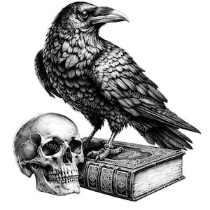 Raven on Skull & Antique Books Clipart - Gothic Dark Academia Transparent PNG - Digital Download Clip Art for Sublimation, DIY Crafts, Decor