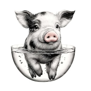Lindo lechón en agua clipart - PNG transparente, ilustración de cerdo bebé, descarga instantánea, arte animal de vivero, impresión digital, decoración temática de granja