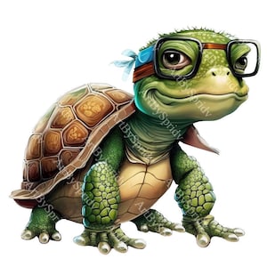 Cute Turtle PNG Clipart, Print Digital Instant Download File,Kids Cartoon Sublimation Clipart Design,Printable Art, Commercial Use Files