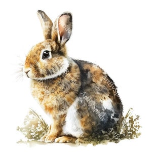 Conejo de bosque de acuarela realista PNG Clipart, lindo conejito con follaje natural para manualidades de bricolaje, camiseta DTG, taza, decoración de guardería, arte natural