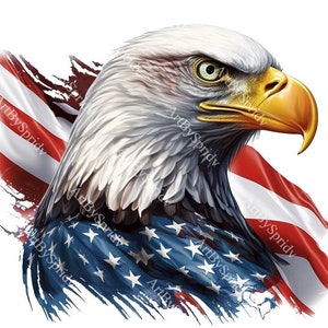 USA Patriotic Eagle Flag PNG Transparent Clipart Abstact - Etsy
