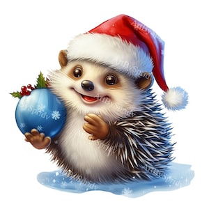 Cute Hedgehog With Christmas Santa Hat Transparent PNG Clipart, Kids/Adults Cartoon Design, Printable Sublimation,Commercial,Animal Clip Art