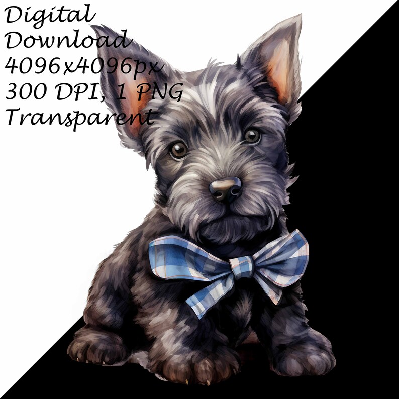 A Scottish Terrier Puppy Dog With Plaid Bow-Transparent 4 PNG Clipart-Printable T-Shirt, Mug, Tumbler Sublimation Clip Art, Commercial Use
